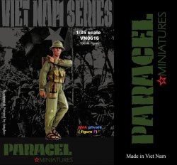 画像1: Paracel Miniatures[VN0616]1/35 北ベトナム軍 兵士(F)