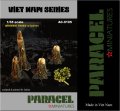 Paracel Miniatures[AC0105]1/35 ベトナム 吹き飛ばされた樹木(葉付き)