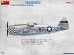 画像2: ミニアート[MA48049]1/48 P-47D-22RE サンダーボルト ダックスフォード・イーグルス ベーシックキット (2)