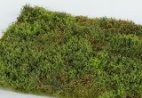 Model Scene[F571]草マットプレミアム 荒れた茂み 春(18x28cm)
