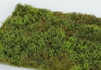 Model Scene[F571]草マットプレミアム 荒れた茂み 春(18x28cm)