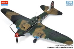 画像4: アカデミー[AM12537]1/48 IL-2m3 "ベルリン 1945"