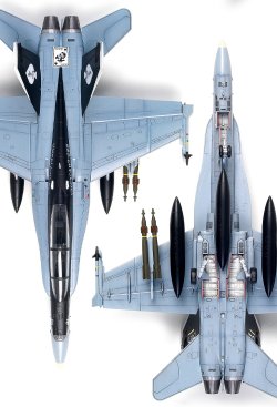 画像4: アカデミー[AM12422]1/72 F/A-18D "VMFA(AW)-225 バイキングス"