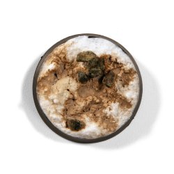 画像5: AKインタラクティブ[AK14032]リキッドピグメント・アーバンセット