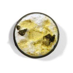 画像5: AKインタラクティブ[AK14034]リキッドピグメント・サンド＆ダストセット