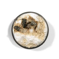 画像7: AKインタラクティブ[AK14035]リキッドピグメント・アースセット