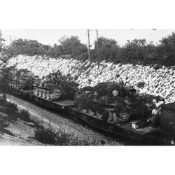 画像20: AKインタラクティブ[AK35501]1/35 ドイツ重車輌運搬車SSYS