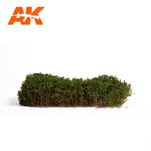 画像3: AKインタラクティブ[AK08166]灌木　グリーン夏 (3)
