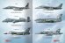 画像9: AMMO書籍[AMIG6509]書籍現用アメリカ航空機グレージェットソリューションブック