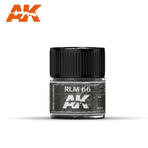 画像1: AKインタラクティブ[RC273]RLM 66 (1)