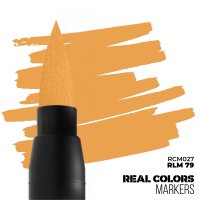 AKインタラクティブ[RCM027]RLM79