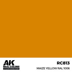 画像2: AKインタラクティブ[RC813]メイズイエロー RAL1006