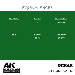 画像3: AKインタラクティブ[RC848]ヴァイラントグリーン
