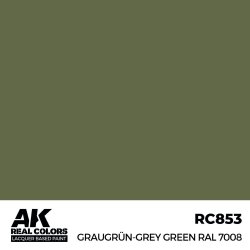 画像2: AKインタラクティブ[RC853]グラウグリュン RAL7008