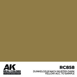 画像2: AKインタラクティブ[RC858]デュンケルゲルプ・ナッハ・ムスター