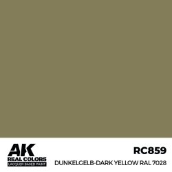 画像2: AKインタラクティブ[RC859]デュンケルゲルプ RAL7028