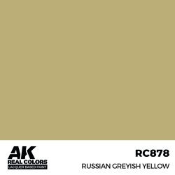 画像2: AKインタラクティブ[RC878]ロシアングレイッシュイエロー