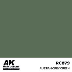 画像2: AKインタラクティブ[RC879]ロシアングレイグリーン