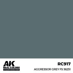 画像2: AKインタラクティブ[RC917]アグレッサーグレイ FS36251