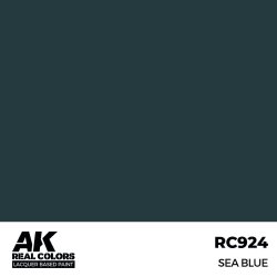 画像2: AKインタラクティブ[RC924]シーブルー