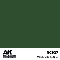 画像2: AKインタラクティブ[RC927]ミディアムグリーン42