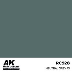 画像2: AKインタラクティブ[RC928]ニュートラルグレイ43
