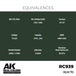 画像3: AKインタラクティブ[RC939]RLM 70