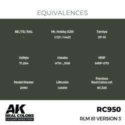 画像3: AKインタラクティブ[RC950]RLM 81 Version 3