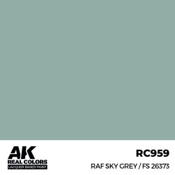 画像2: AKインタラクティブ[RC959]RAF スカイグレイ