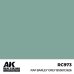 画像2: AKインタラクティブ[RC973]RAF バーリーグレイ BS381C/626 (2)