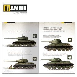 画像3: AMMO書籍[AMIG6145]WW.II T-34 カラー & 迷彩パターン (英/西/ロシア語併記)