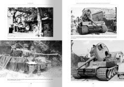 画像9: AMMO書籍[AMIG6261]書籍　イタリア戦線：ドイツ軍戦闘車輌1943-1945　Vol.1