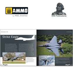 画像2: AMMO書籍[DH026]F-15 E/K/SG ストライクイーグル写真集