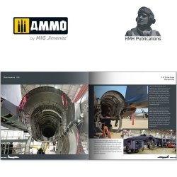 画像8: AMMO書籍[DH026]F-15 E/K/SG ストライクイーグル写真集