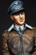 画像3: Alpine Miniatures[AM16014] 1/16 ルフトヴァッフェ・エースヴェルナー・メルダース (3)