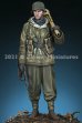 画像3: Alpine Miniatures[AM16042]1/16 WWII 独 第28猟兵師団「鉄十字師団」立像