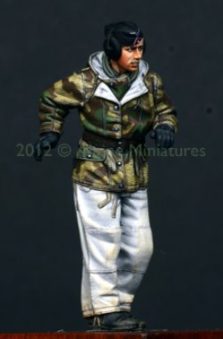 画像2: Alpine Miniatures[AM35130]1/35 WWII 独　パンターコマンダー #1