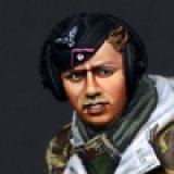 Alpine Miniatures[AM35130]1/35 WWII 独　パンターコマンダー #1