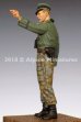 画像6: Alpine Miniatures[AM35254]1/35 WWII独 SS擲弾兵部隊将校 44-45