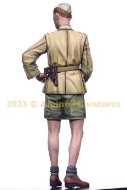 画像5: Alpine Miniatures[AM35310]1/35 WWII ドイツアフリカ軍団 装甲部隊将校