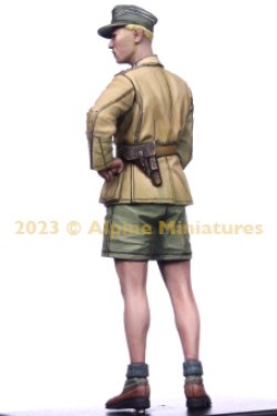 画像6: Alpine Miniatures[AM35310]1/35 WWII ドイツアフリカ軍団 装甲部隊将校