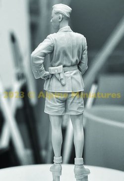 画像9: Alpine Miniatures[AM35310]1/35 WWII ドイツアフリカ軍団 装甲部隊将校
