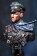 画像7: Alpine Miniatures[AMB001] 1/16 WWII独 第116装甲師団「グレイハウンド」将校(バストモデル)