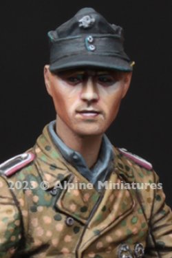 画像6: Alpine Miniatures[H029]1/35 WWII ドイツ 武装親衛隊ヘッドセット＃5
