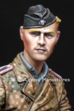 画像6: Alpine Miniatures[H030]1/35 WWII ドイツ 武装親衛隊ヘッドセット＃6