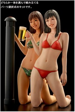 画像6: BRICK WORKS[MUS-29]1/20 コンバーチブル・ベイブ『ABガール』