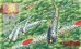 画像3: イカロス出版 零戦と一式戦「隼」完全ガイド