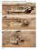 画像2: Desert Eagle[No.19]プーマ 重装甲歩兵戦闘車 -センチュリオンベースの装甲兵員輸送車 Part.3- (2)