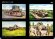 画像2: 伊太利堂　写真集 日本のホイペット戦車 (2)