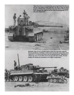 画像3: The Tiger Tank and Allied Intelligence Volume 3: Tiger 131: From Africa to Europe